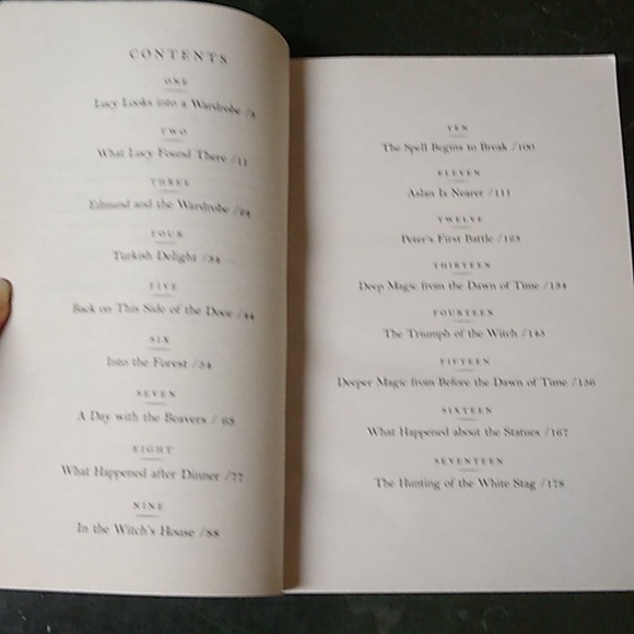 Lion Witch Wardrobe Chronicles Narnia C S Lewis Fantasy Children's Chapter Book - Picture 7 of 8